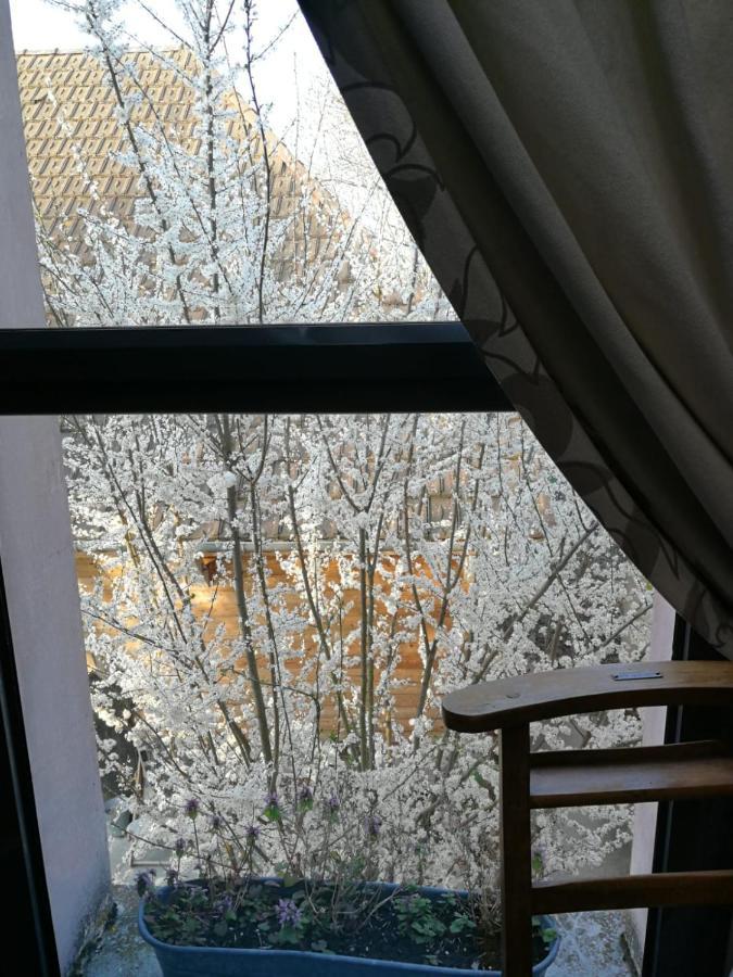 Un Verger Dans La Ville Saint-Parres-aux-Tertres エクステリア 写真